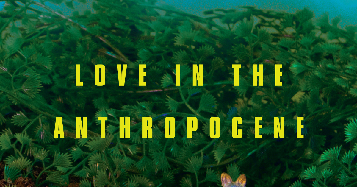 love in the anthropocene header image