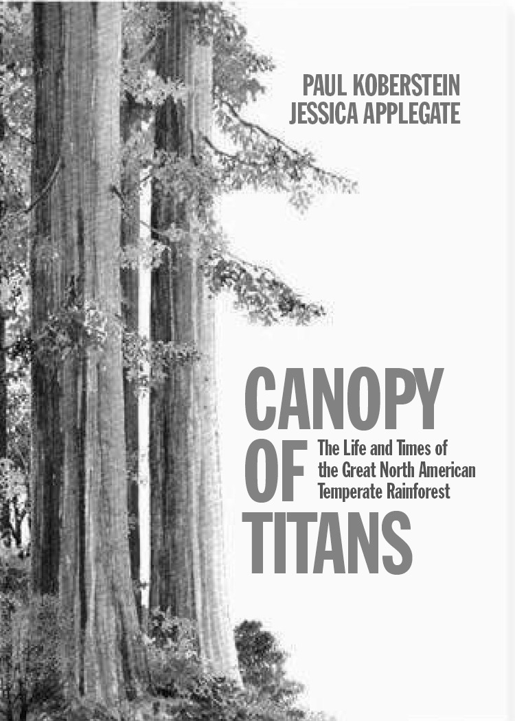 canopy of titans cover