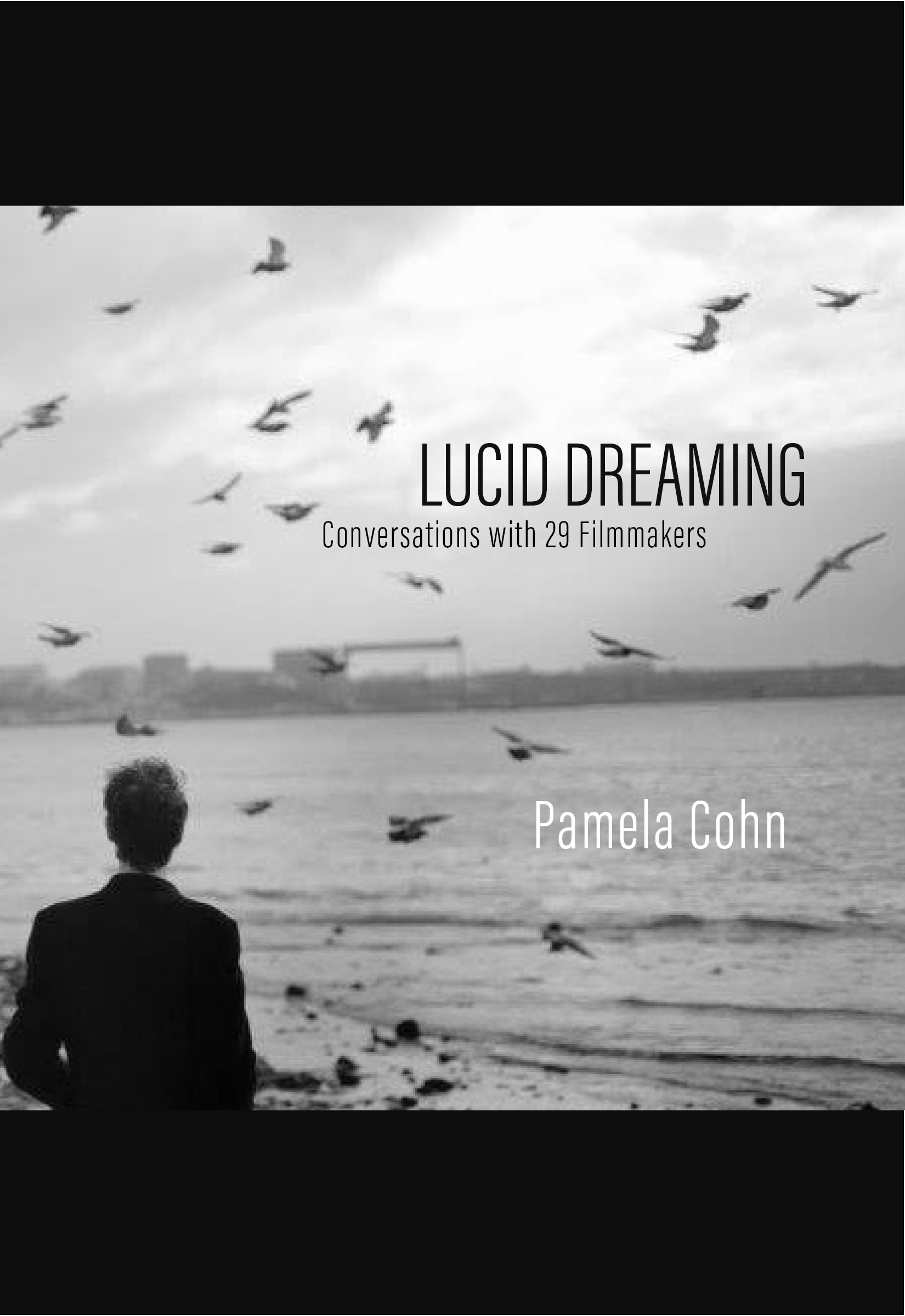 ludic dreaming cover